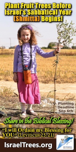 An BCN Paid Advertisement